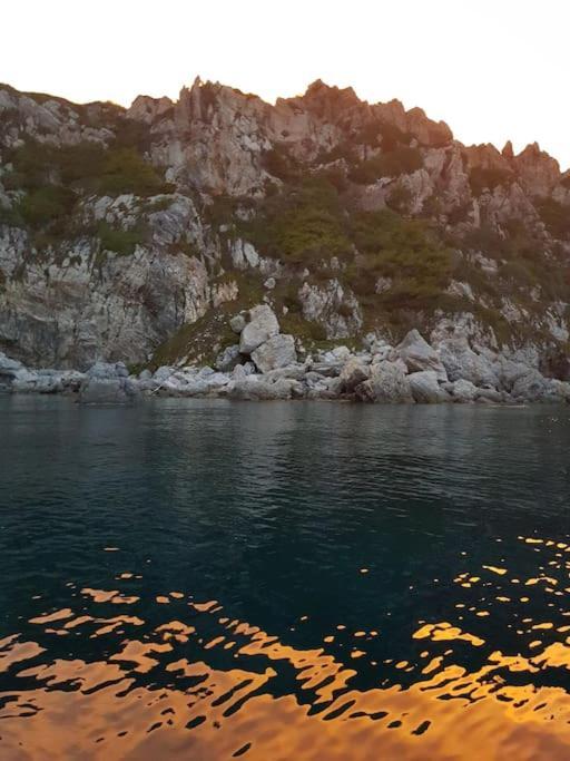 Villa Contemporaine F5 Cote Azur Ollioules Calme Esterno foto