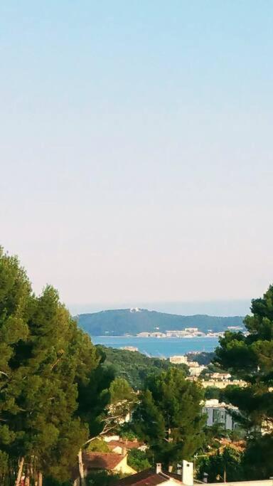 Villa Contemporaine F5 Cote Azur Ollioules Calme Esterno foto