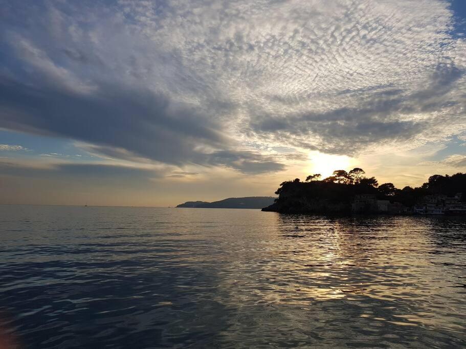 Villa Contemporaine F5 Cote Azur Ollioules Calme Esterno foto