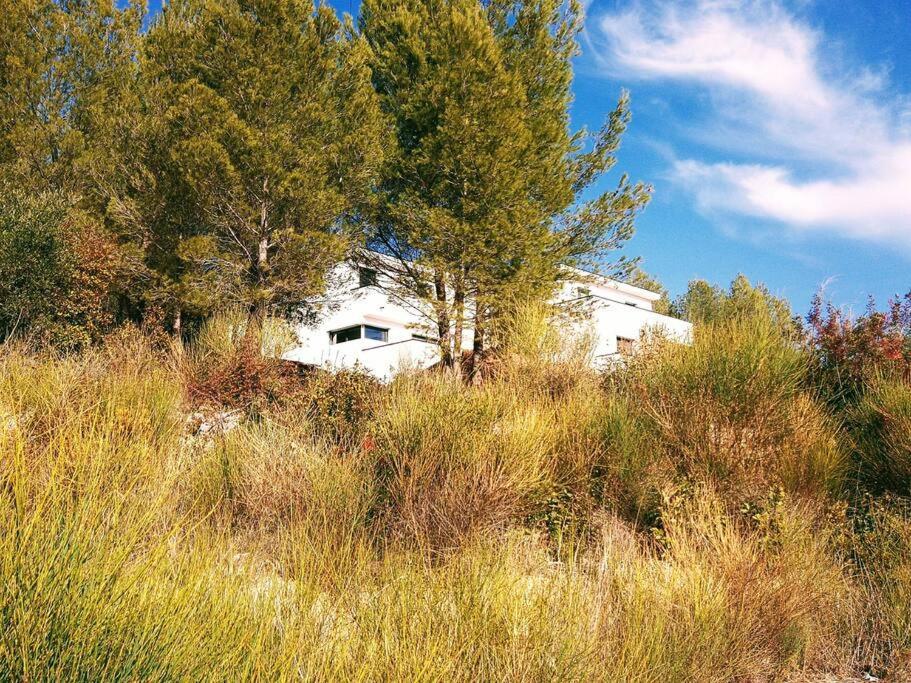 Villa Contemporaine F5 Cote Azur Ollioules Calme Esterno foto